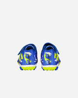 S4131322_ROYALcl004