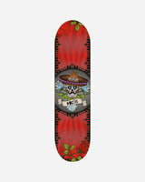 S4146207_MULTICOLOU