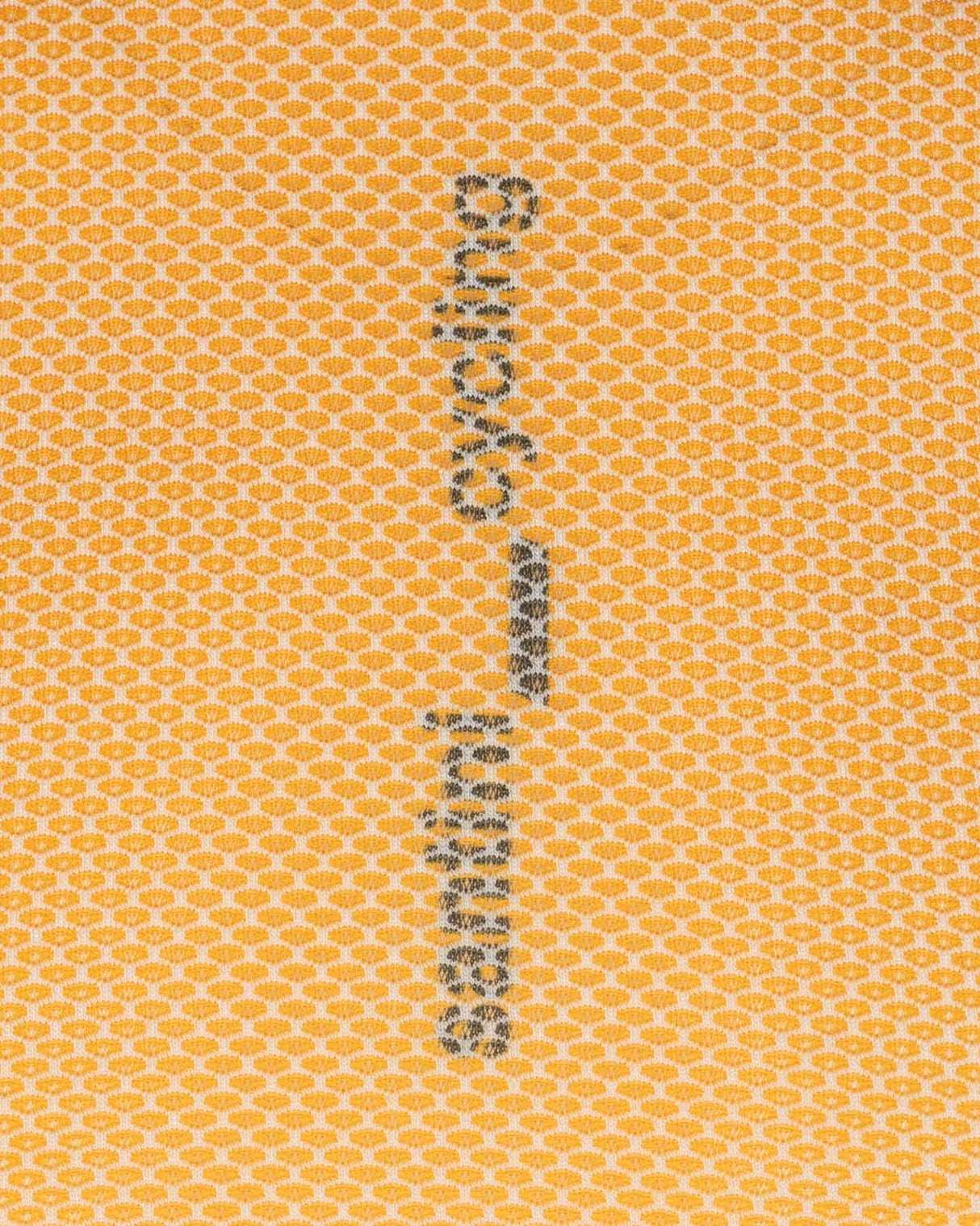 S4150663_GIcl002
