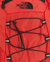 S5421952_YRGcl002