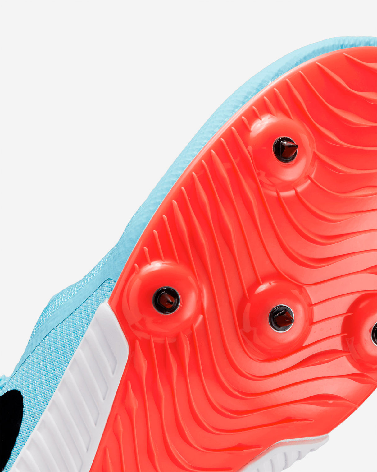 S5530374_400cl005