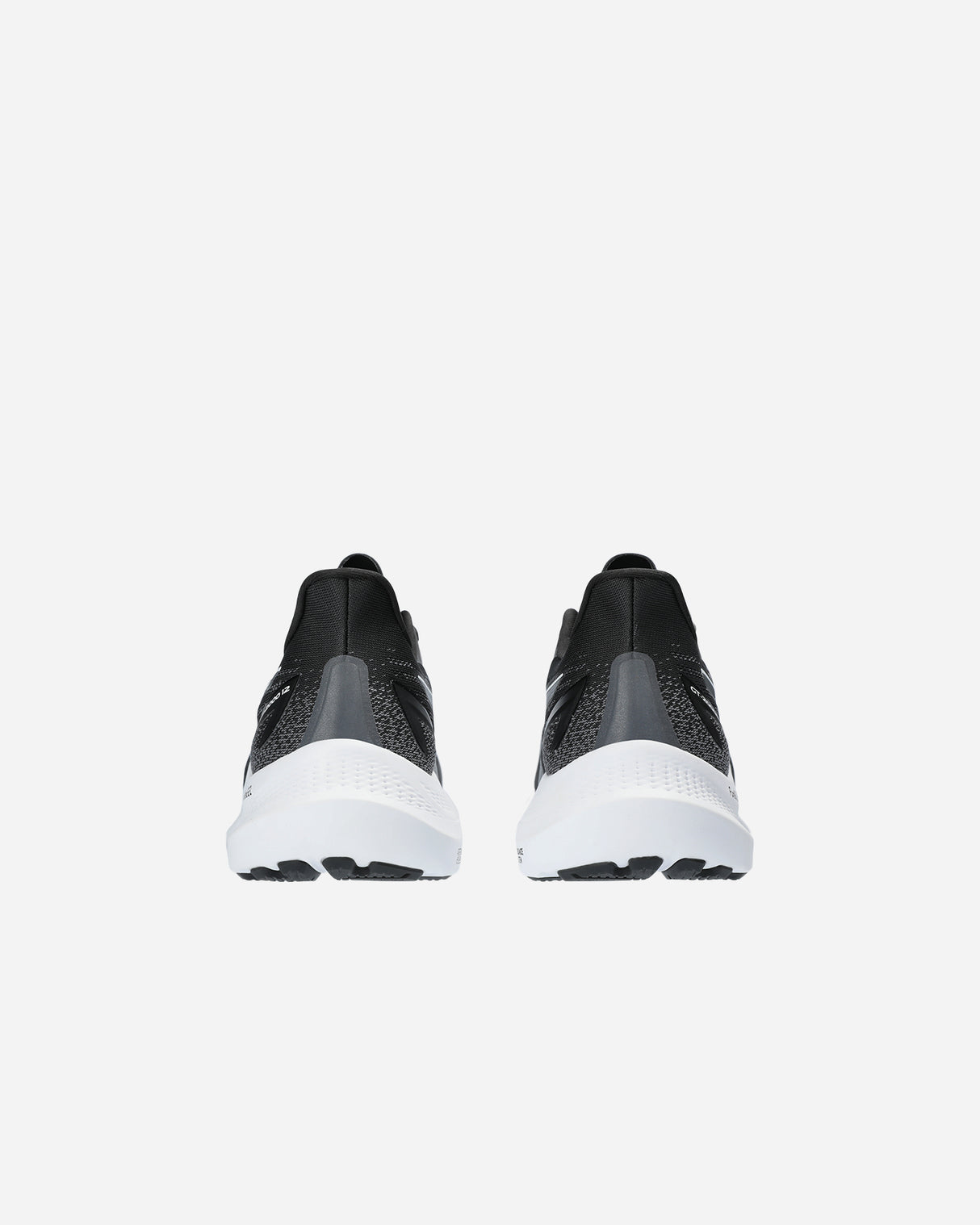 S5582379_002cl004