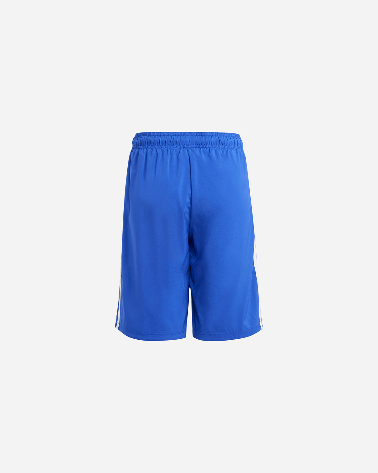S5592835_UNIcl001