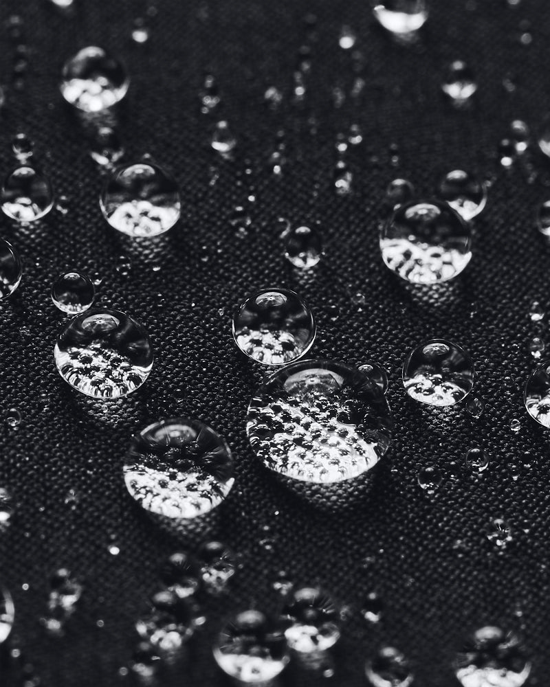S5729475_0002cl004