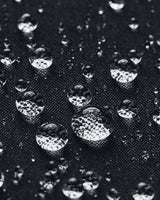 S5729475_0002cl004