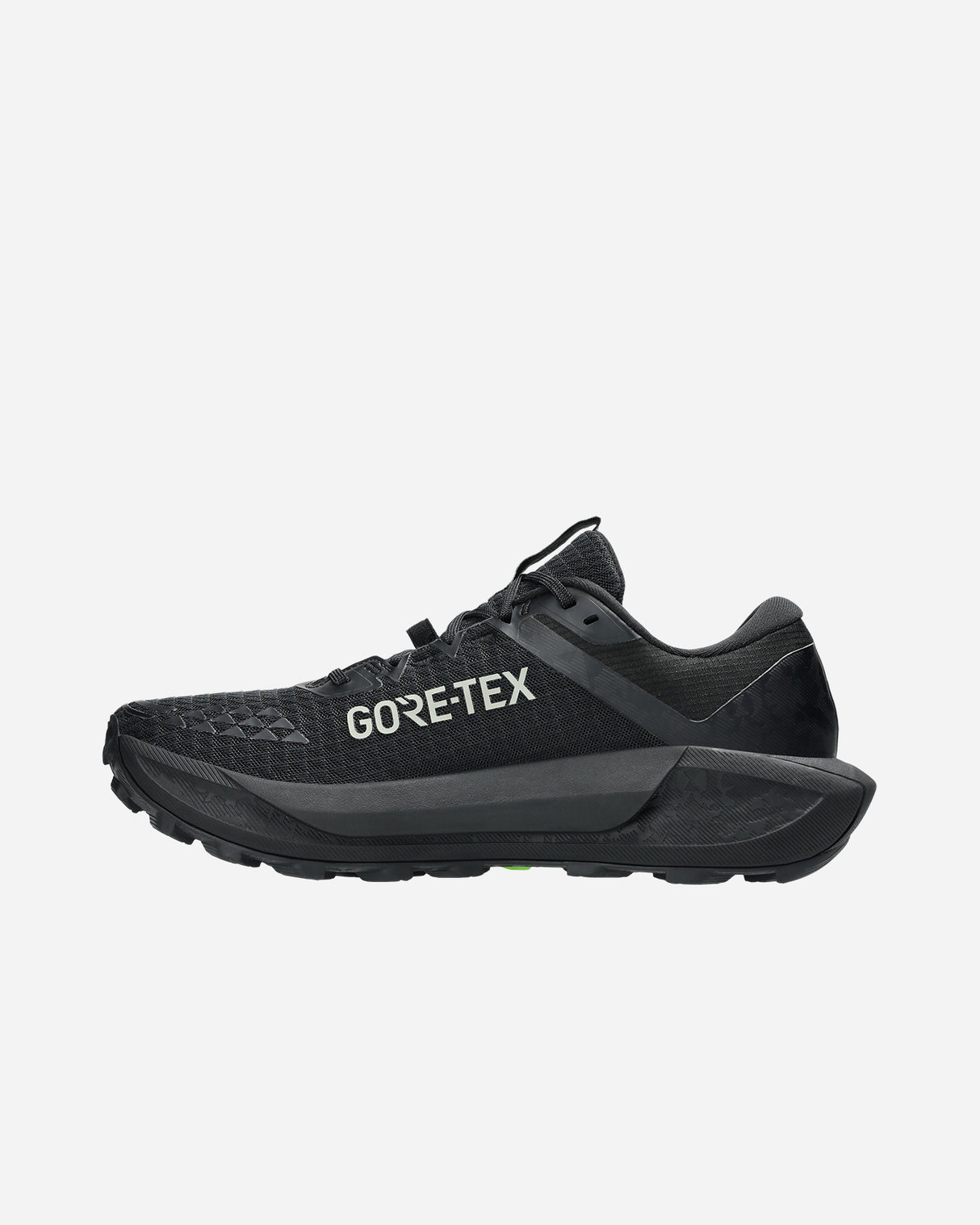 S5787386_002cl005