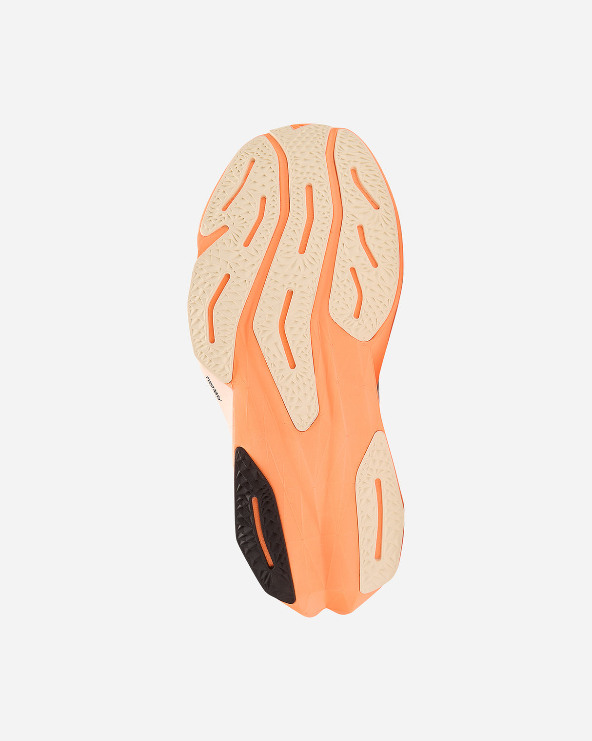 S5806470__cl002