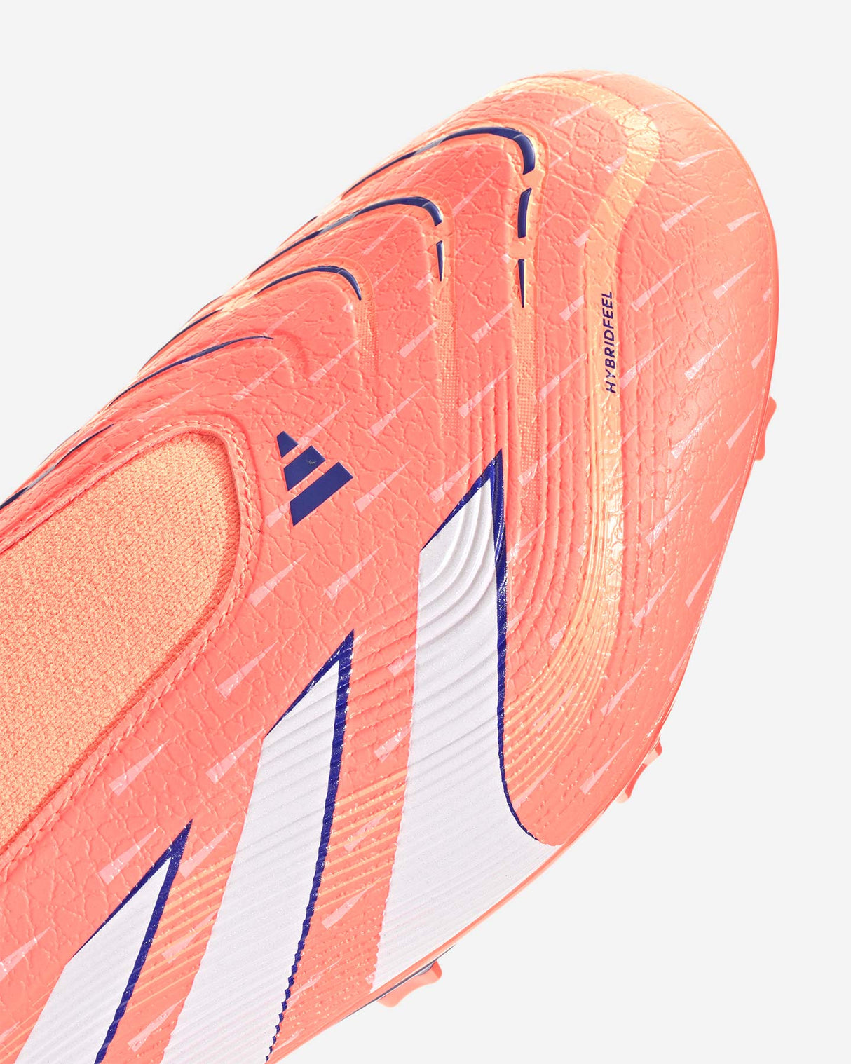 S5866378_UNIcl005