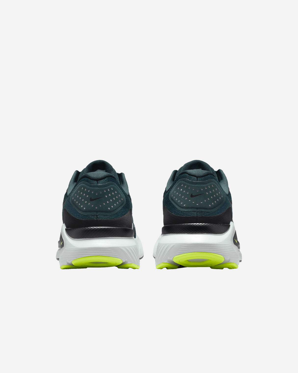 S5911438_300cl004