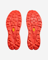 S5984578_BLLPcl002